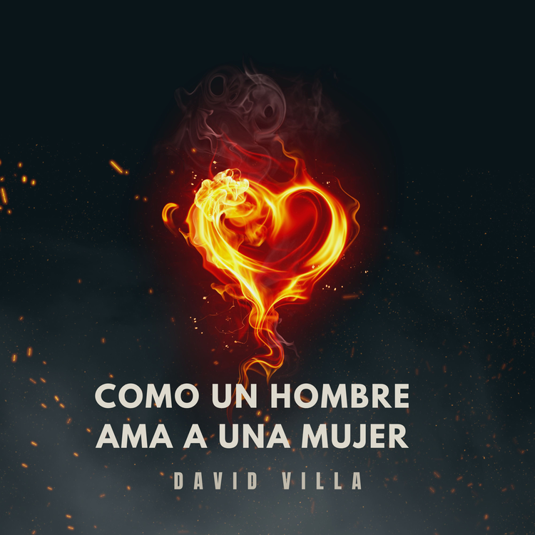 David Villa's avatar image