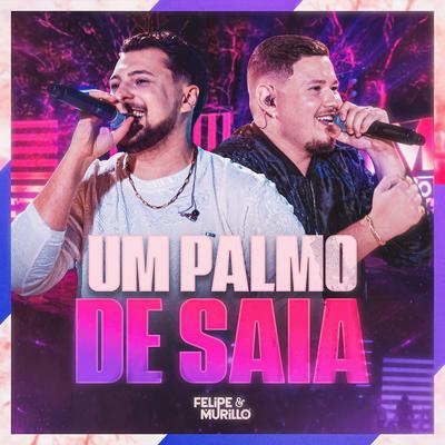 Um Palmo de Saia ((Ao Vivo)) By Felipe & Murillo's cover