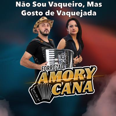 Não Sou Vaqueiro, Mas Gosto de Vaquejada By Forrozão Amory e Cana's cover