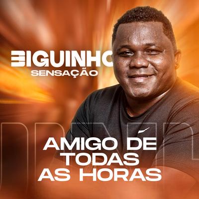 Amigo de Todas as Horas By BIGUINHO SENSAÇÃO's cover