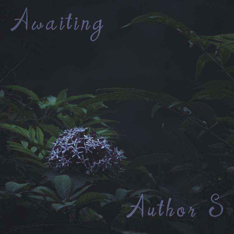 Author S's avatar image