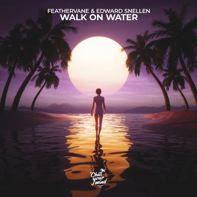 Walk On Water By Feathervane, Edward Snellen's cover