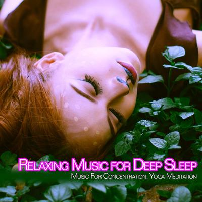 Relaxation Music Soundscapes's cover