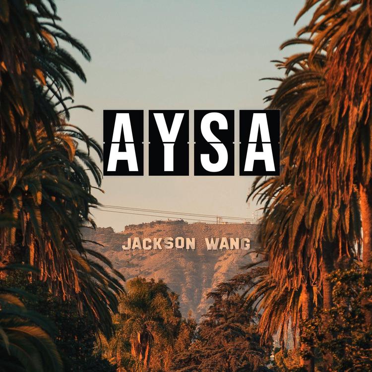 Aysa Jang's avatar image