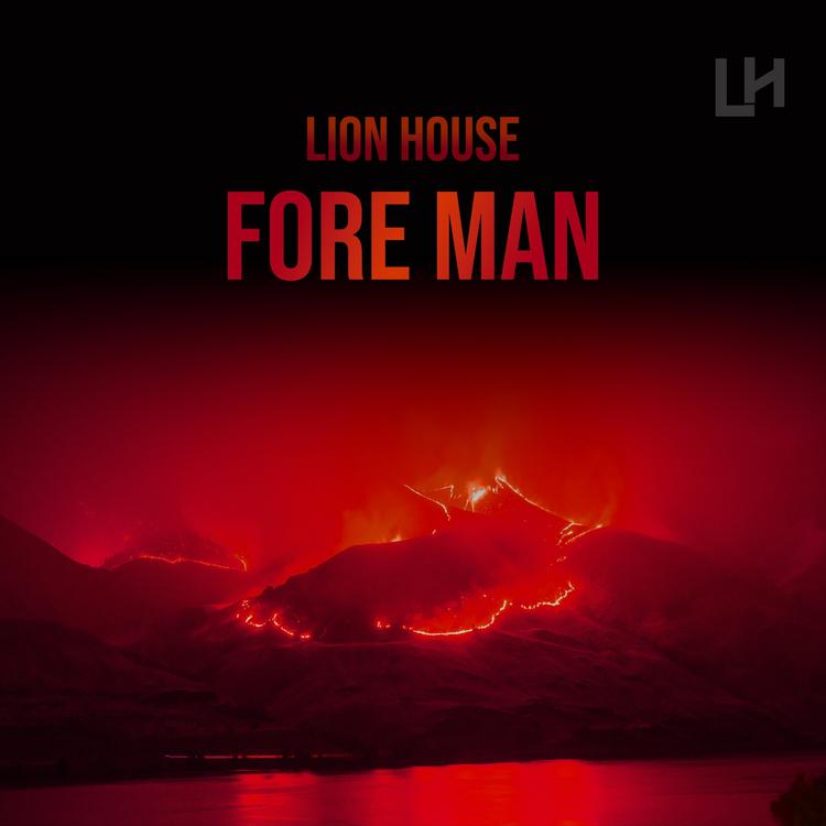 LION HOUSE's avatar image