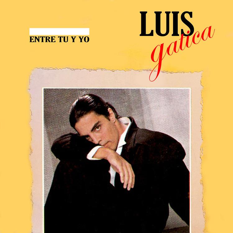 Luis Gatica's avatar image