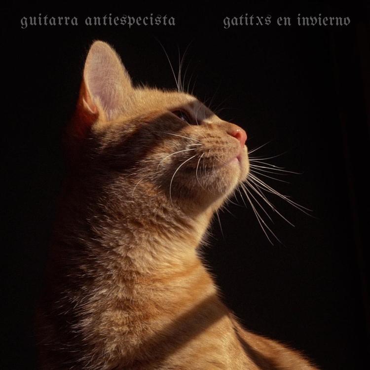 Guitarra Antiespecista's avatar image