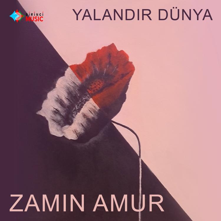 Zamin Amur's avatar image