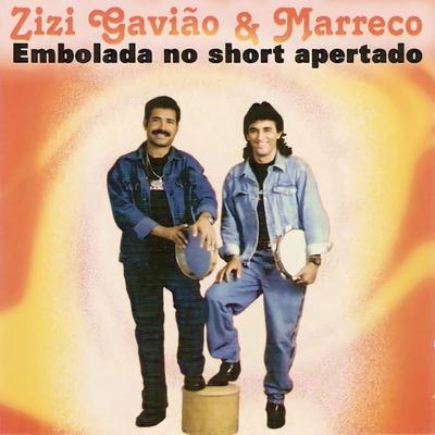 O Nascimento de Zizi Gavião's cover