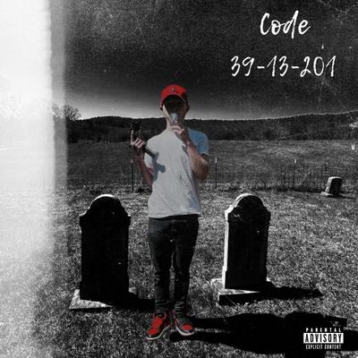 Code 39-13-201's cover