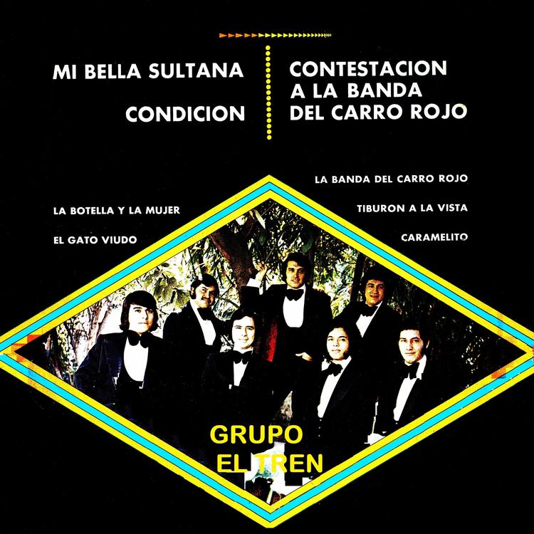 Grupo el Tren's avatar image