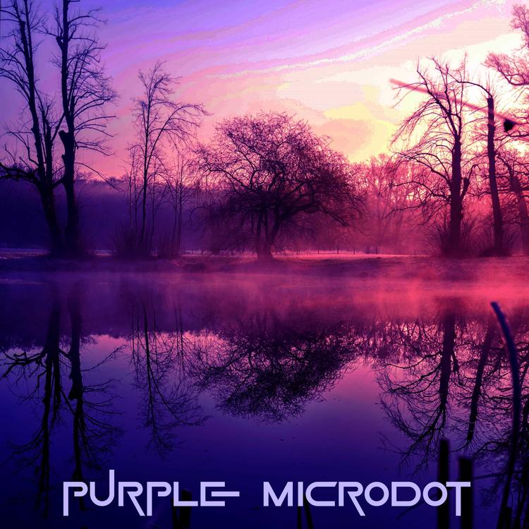 Purple Microdot's avatar image