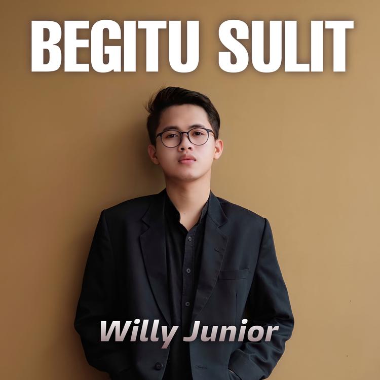 Willy Junior's avatar image
