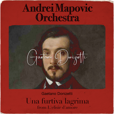 Donizetti: Una Furtiva Lagrima from L'elisir d'amore's cover