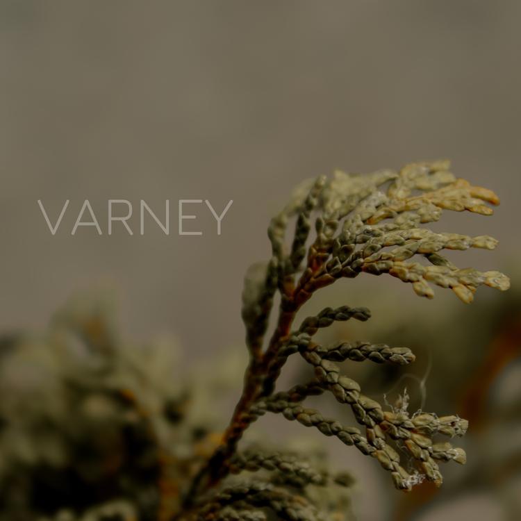 Varney's avatar image