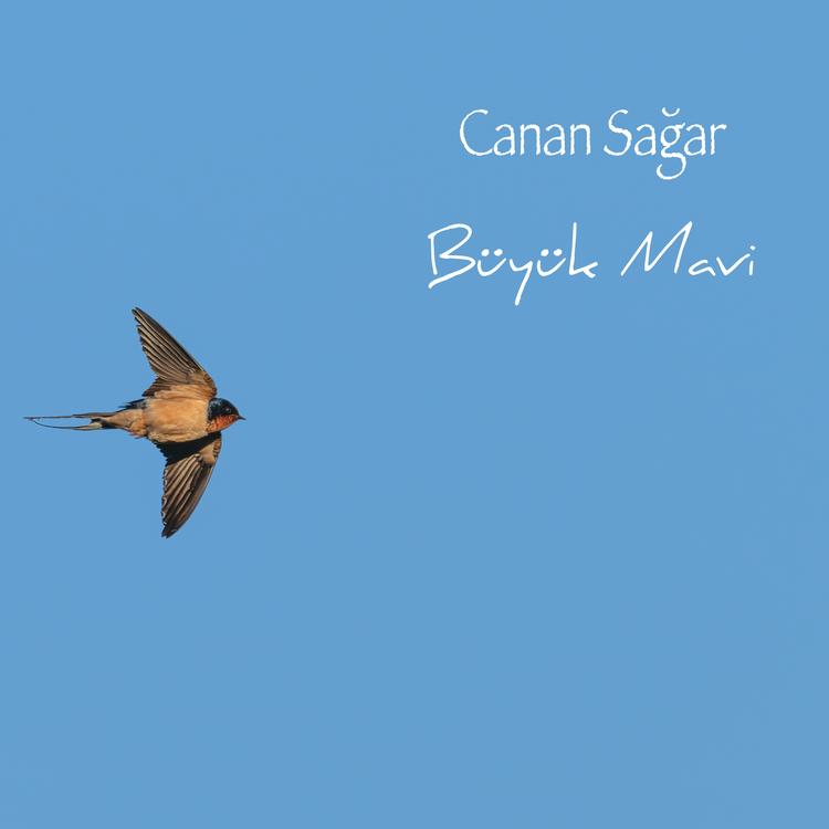 Canan Sağar's avatar image