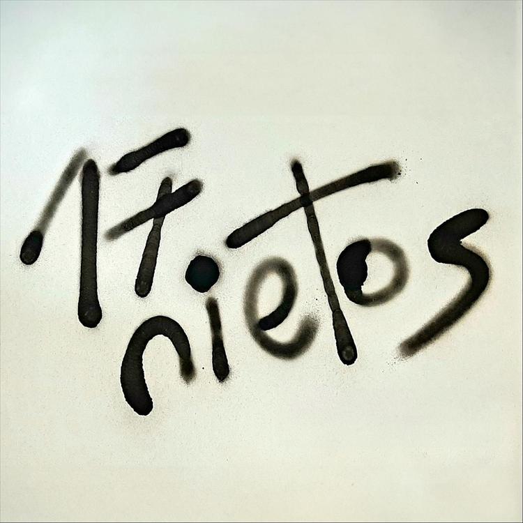 17 Nietos's avatar image