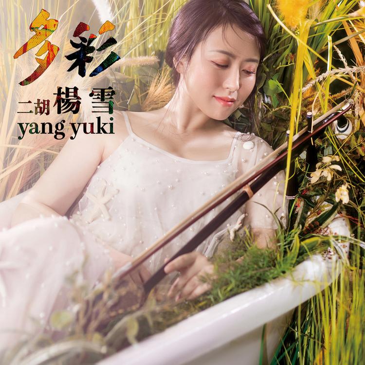 杨雪's avatar image