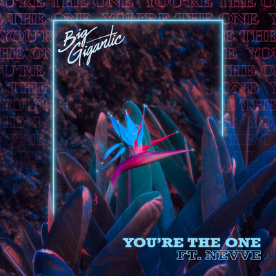 You’re The One By Nevve, Big Gigantic's cover