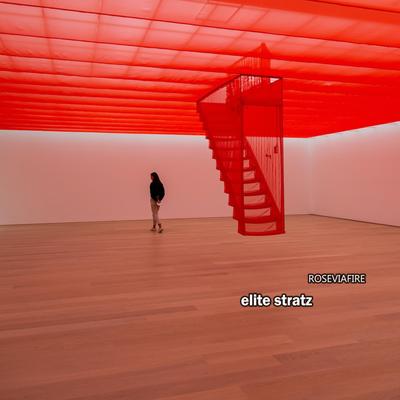 Elite Stratz's cover