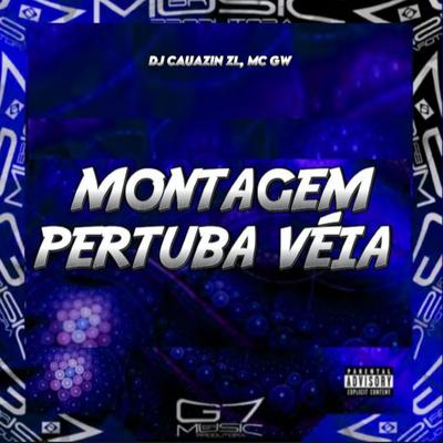 Montagem Pertuba Véia (feat. Mc Gw)'s cover