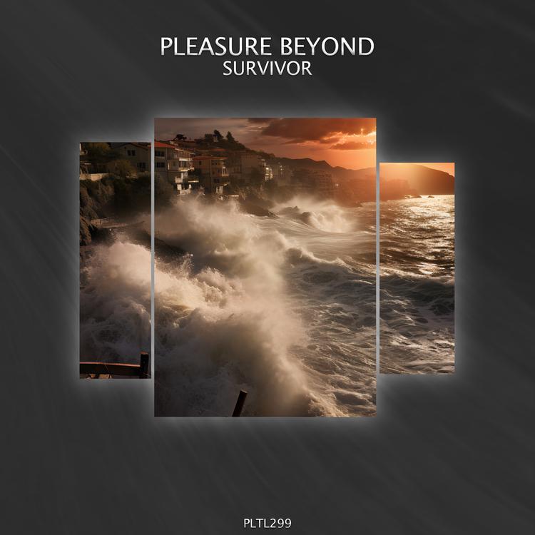 Pleasure Beyond's avatar image
