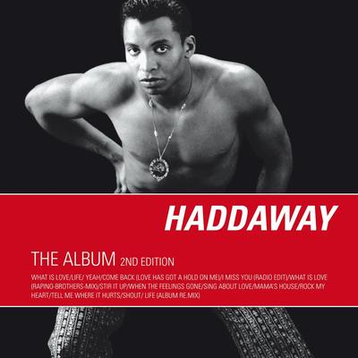 Rock My Heart By Haddaway's cover