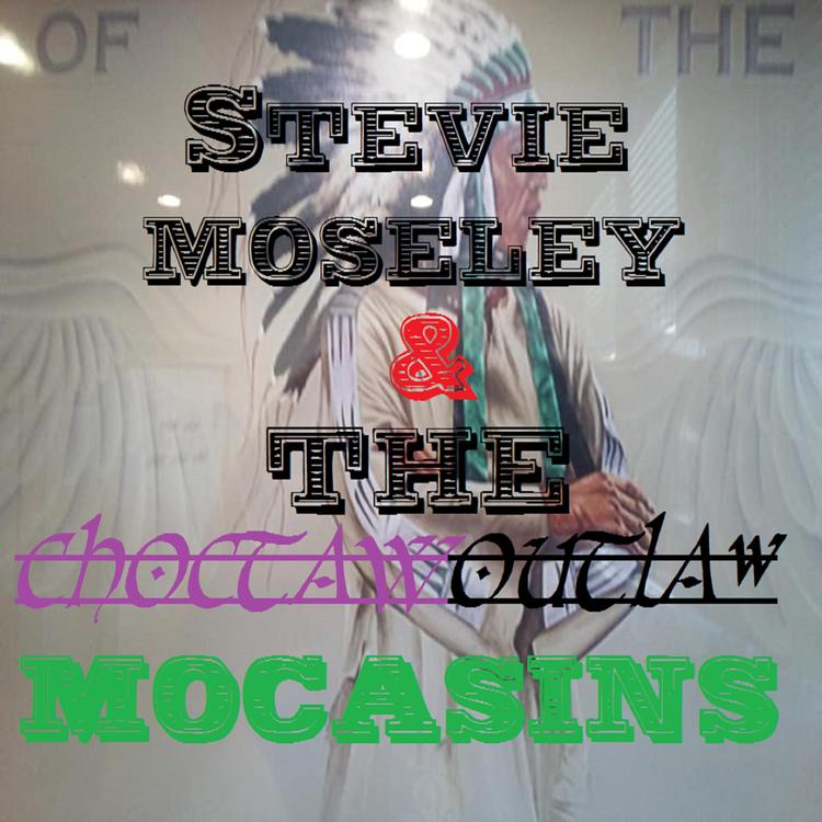 Stevie Moseley And The Mocasins's avatar image