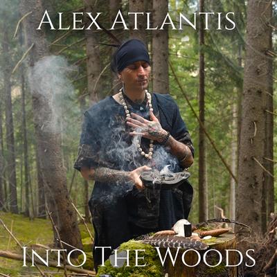Into to the Woods's cover