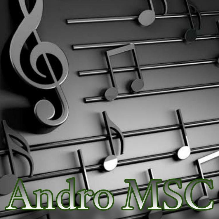 Andro MSC's avatar image
