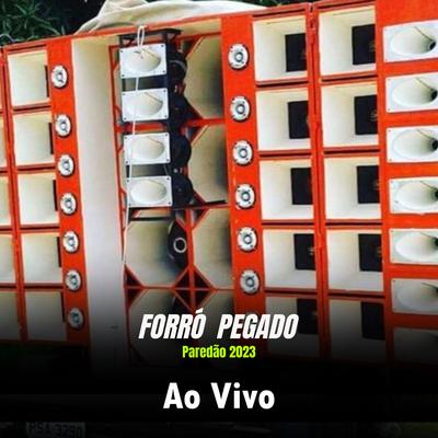 Paredão Ao Vivo 2023's cover