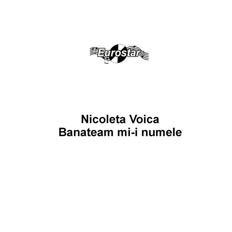 Nicoleta Voica's avatar image