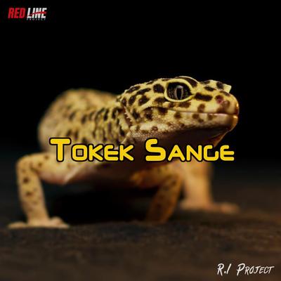 Tokek Sange's cover