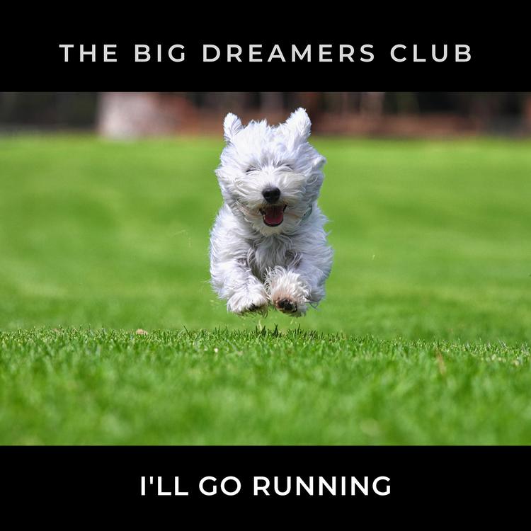 The Big Dreamers Club's avatar image