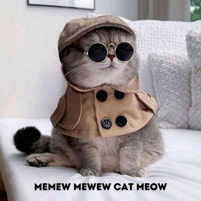 Memew Mewew Cat Meow's cover