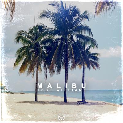 Malibu By Tobe Williams's cover