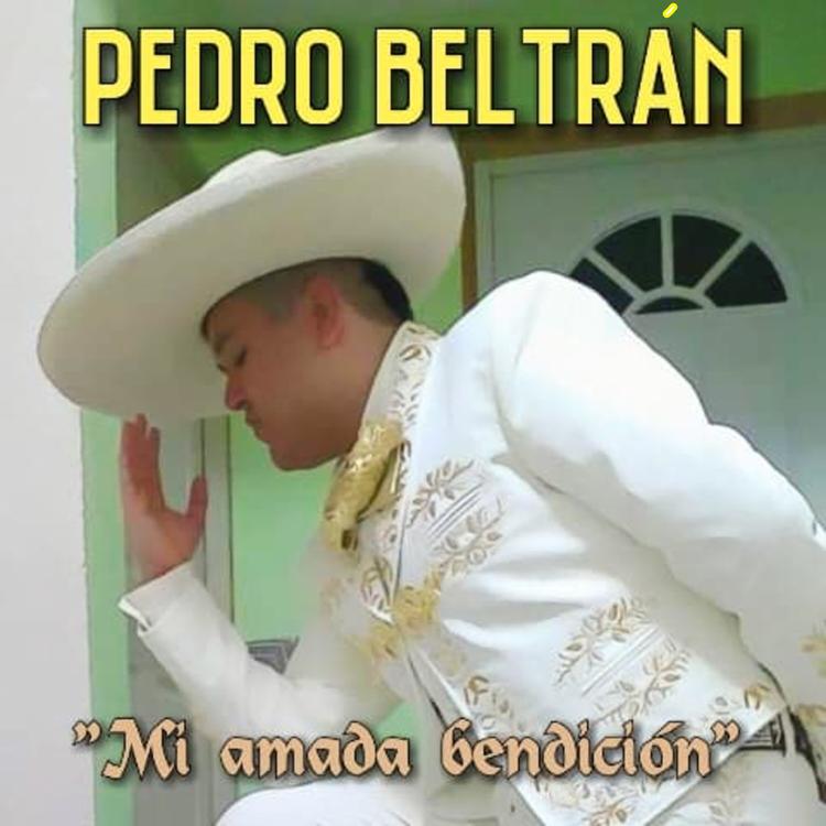 Pedro Beltran's avatar image