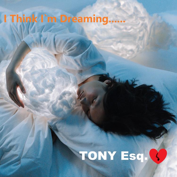 TONY esq.'s avatar image