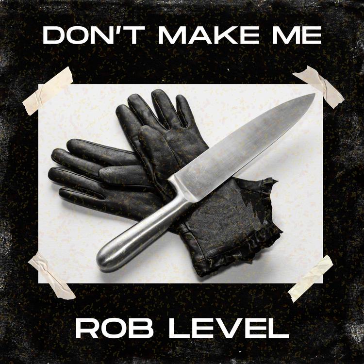 Rob Level's avatar image