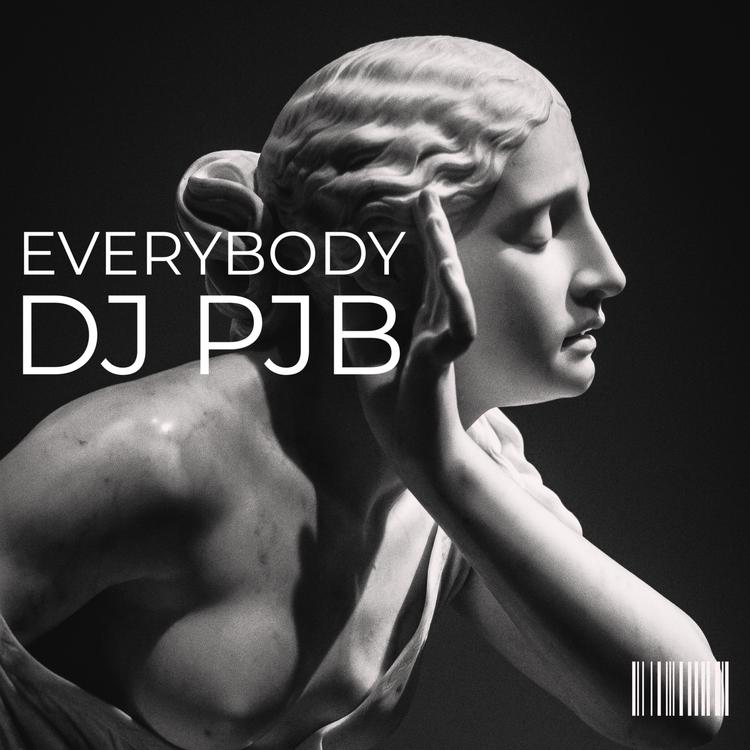 DJ PJB's avatar image