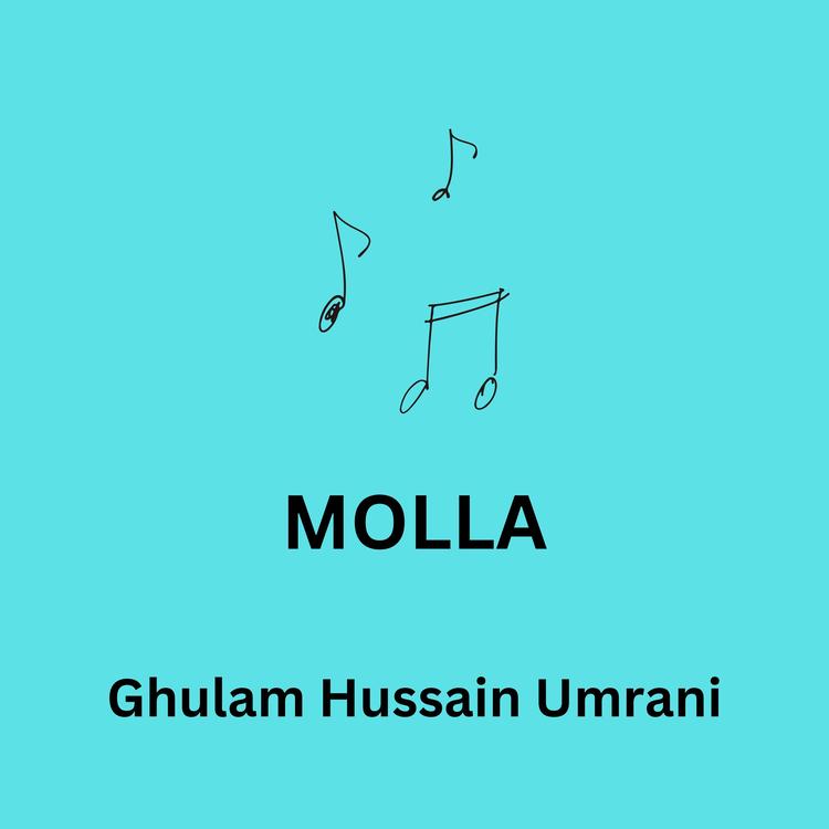 Ghulam Hussain Umrani's avatar image