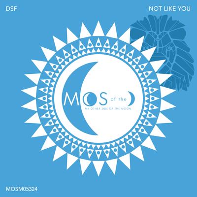 Not Like You By Dsf's cover