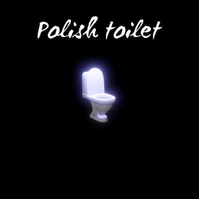 Polish Toilet's cover