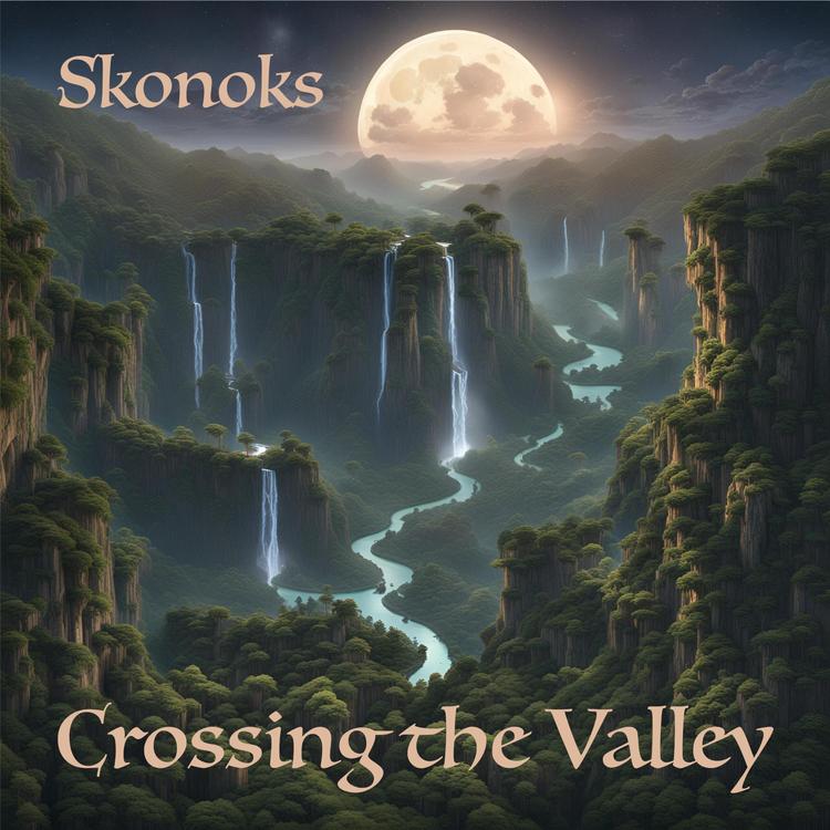 Skonoks's avatar image