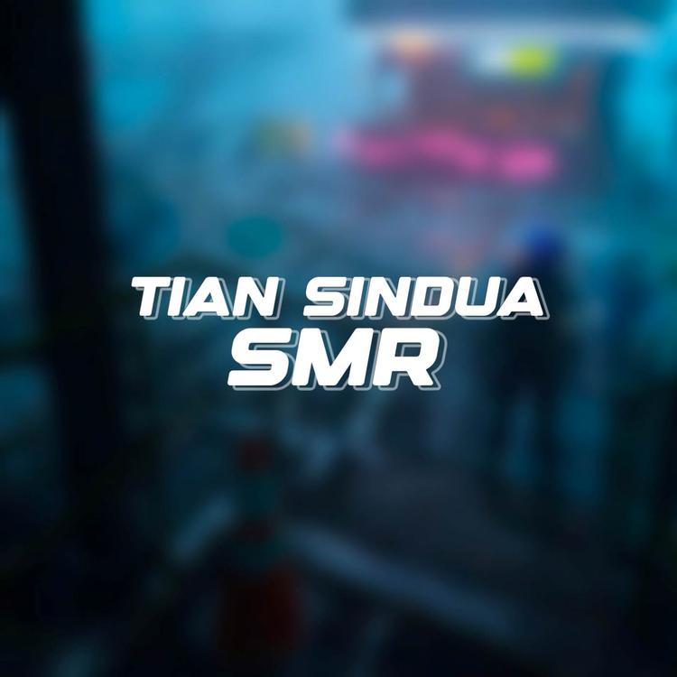Tian Sindua's avatar image