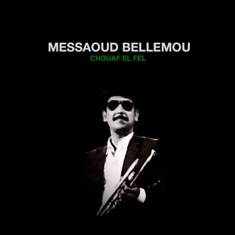 Messaoud Bellemou's avatar image