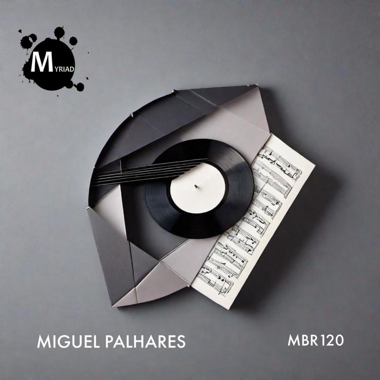 Miguel Palhares's avatar image