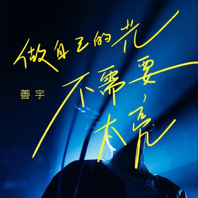 做自己的光，不需要太亮 (Dj沈念版)'s cover