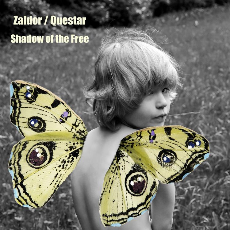 Zaldor / Questar's avatar image