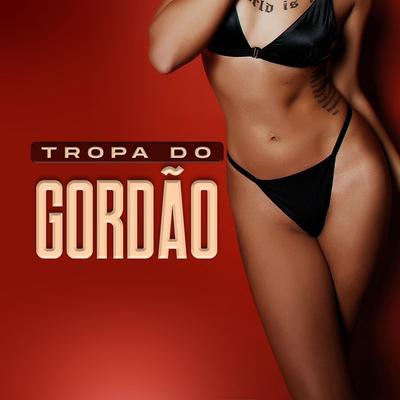 Tropa do Gordâo By DJ NM, Vlad, Mc Leon's cover